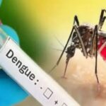 dengue