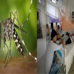 dengue4