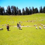 img-20180430-202302-largejpg