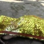 WhatsApp-Image-2023-11-01-at-4.20.40-PM