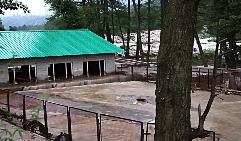 Fish Farm Mountain Trout के जरिये Kashmiri Couple ने नौकरी के पीछे दौड़ने वाले युवाओं को दिया संदेश