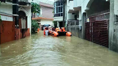 barish-112239139