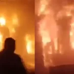 1000626719